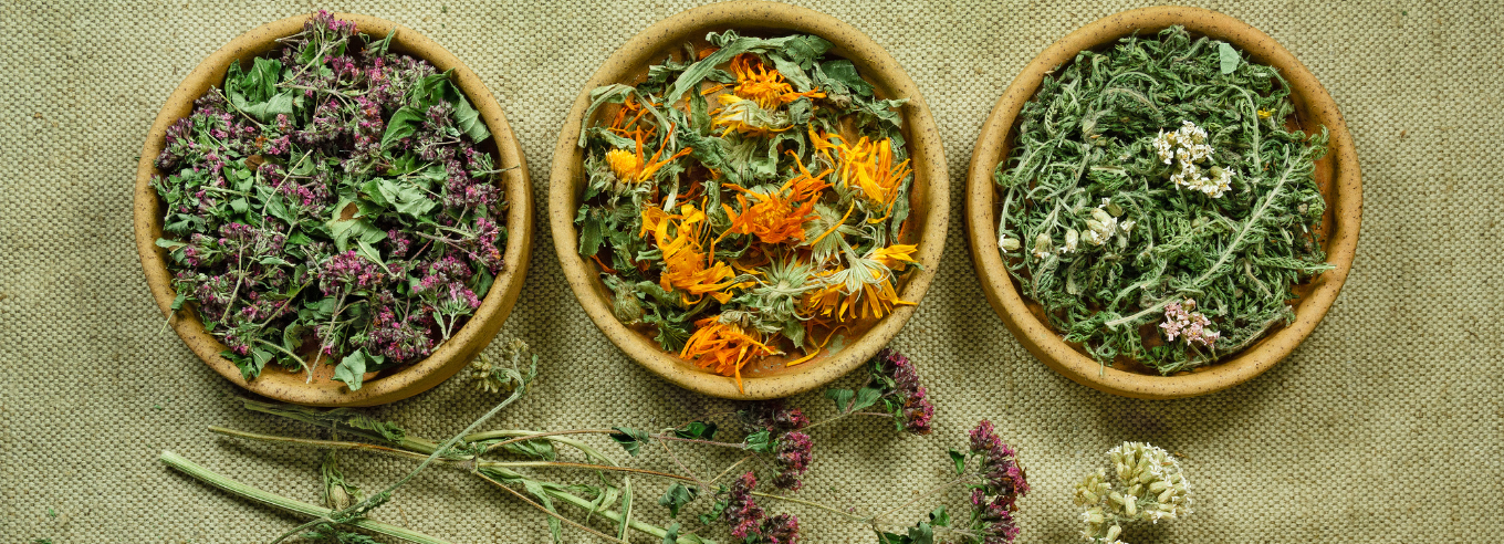 fitoterapia cos'è fitoterapici piante medicinali